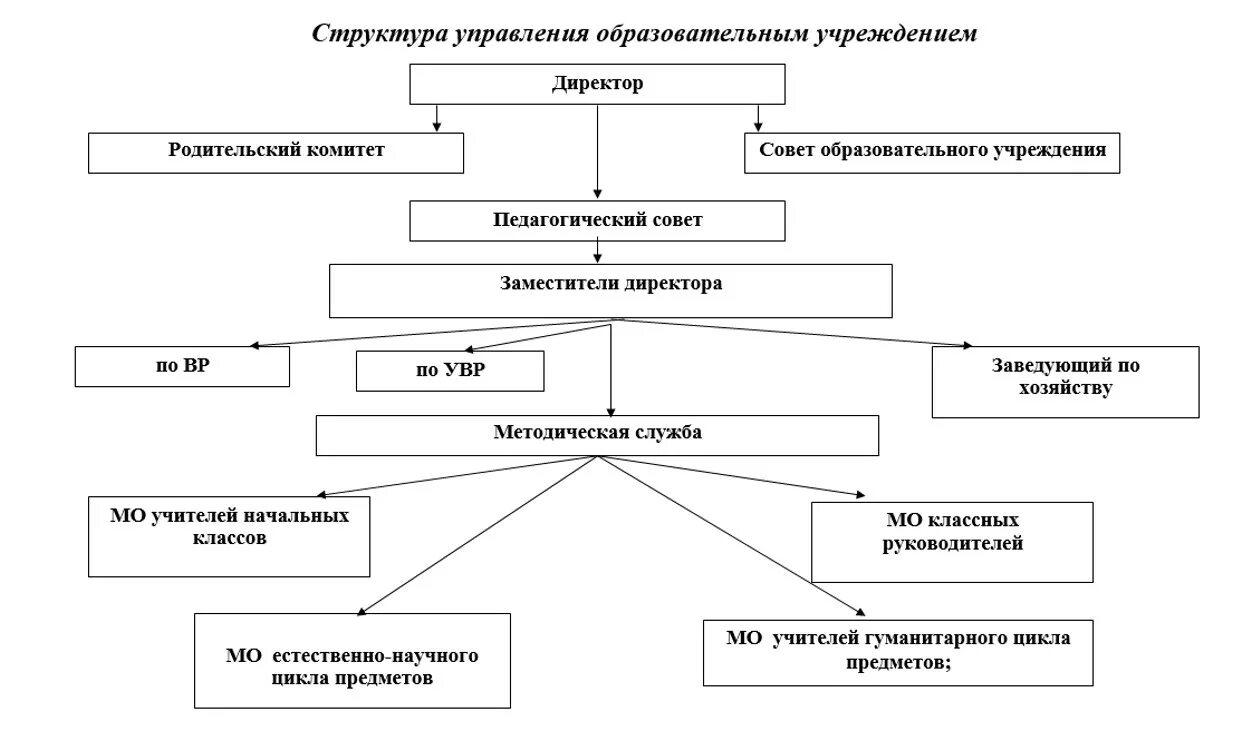 Организационная форма муниципального учреждения. Схема управления учебным заведением школа. Структура образовательного учреждения и система его управления. Схема управления организацией образования школа. Схема организационная структура учебного заведения школы.