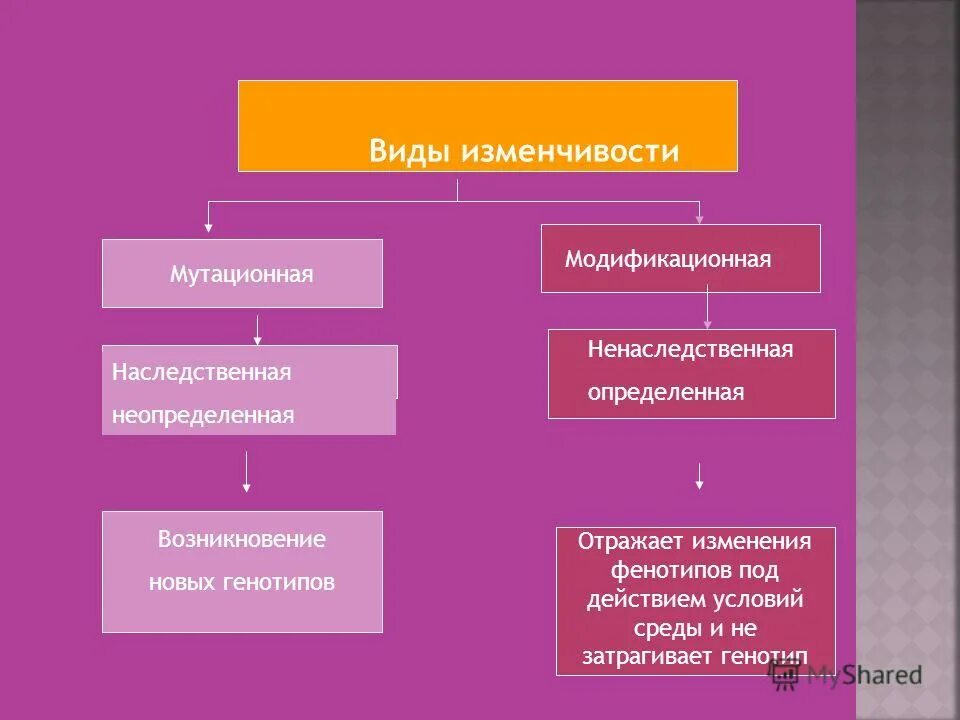 Стойкое изменение генотипа происходящее под действием. Стойкое изменение генотипа происходящее под действием