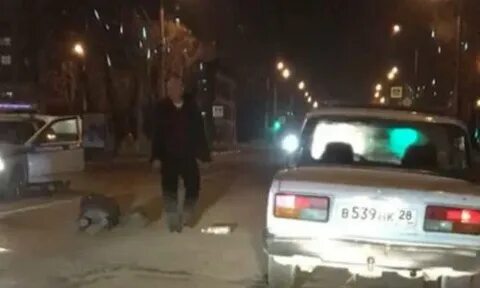 Благовещенск сбитые люди