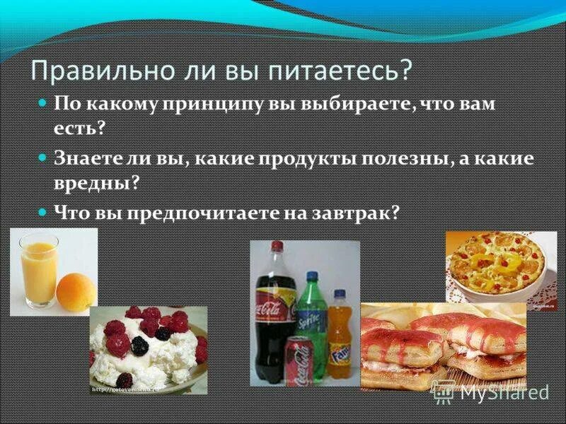 Какую еду любят больше всего. Какую еду любят больше всего