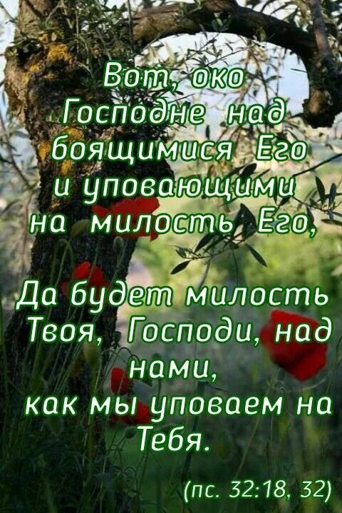 Господи помилуй меня. Молитва богу. Милость твоя. В милости твоей власти. Библейские стихи.