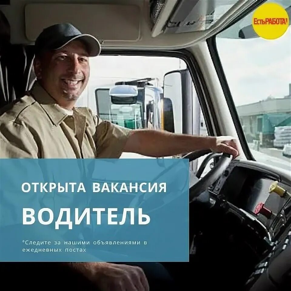 Водитель с категорией д ищет работу. Водитель категории с картинки. Водитель категории b. Водитель категории d. Водитель категории д.