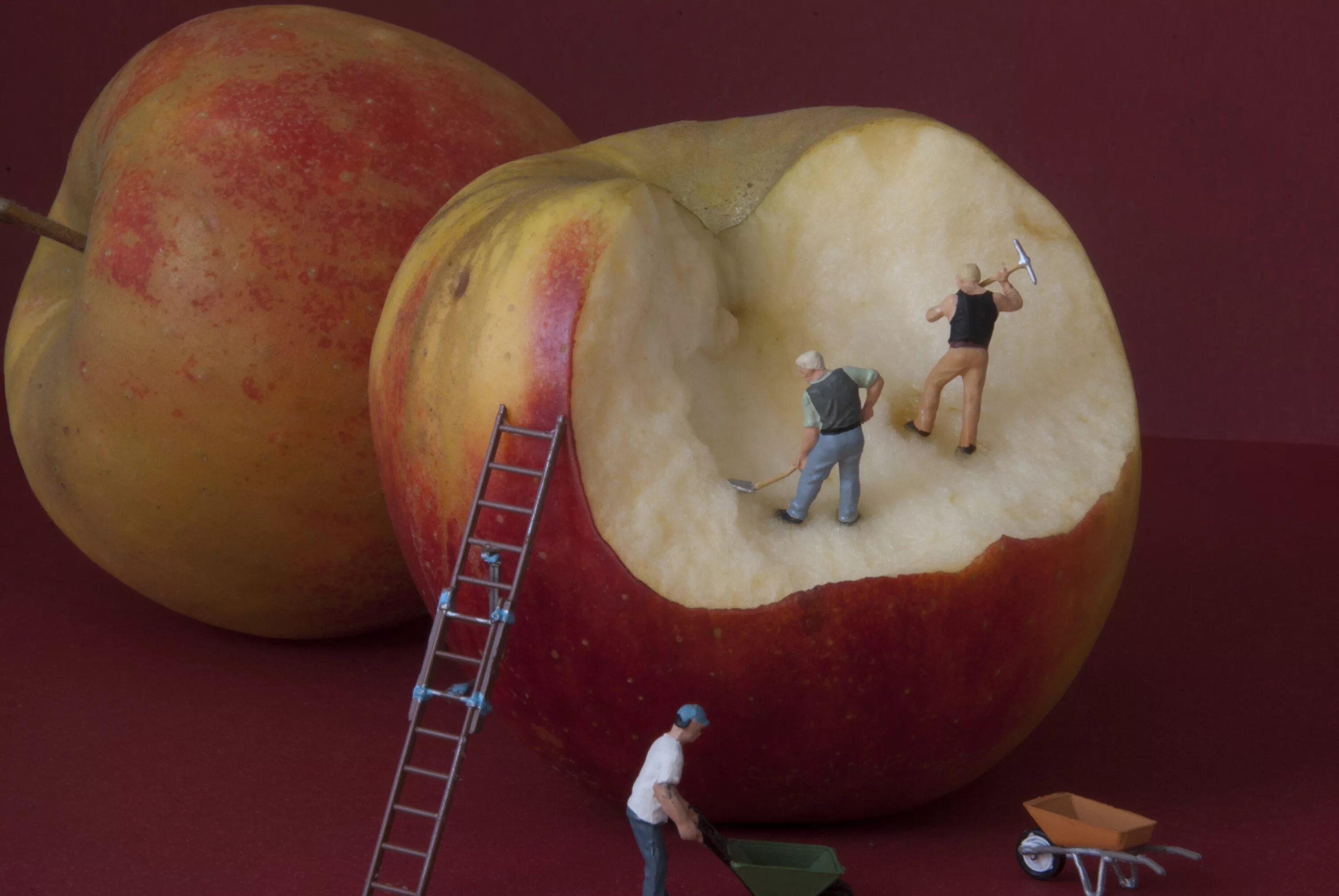 Что может быть маленьким предметом. Гигантское яблоко. Самое большое яблоко. Самые большие яблоки в мире. Яблоко гигант.