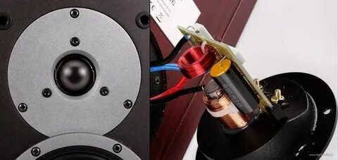 Dynaudio dm