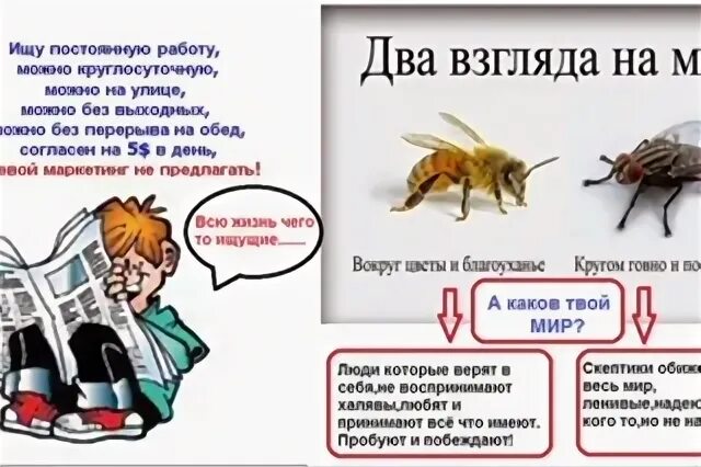 Два взгляда на мир