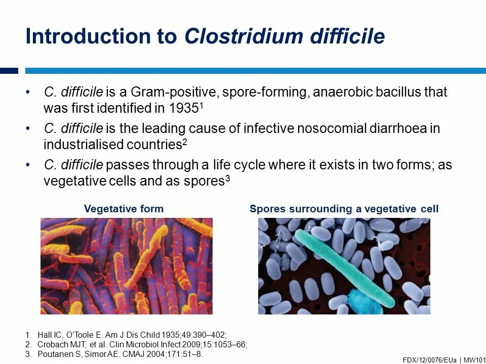 Clostridium difficile антибиотики. Clostridium difficile микробиология. Эпидемиология клостридии диффициле. Клостридии дисбактериоз.