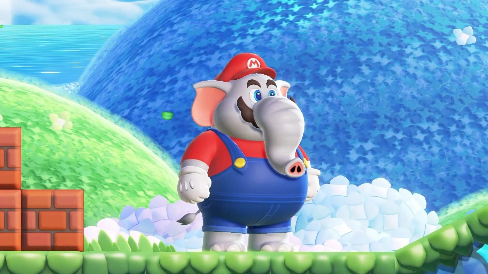 Super mario bros wonder nintendo switch. Super mario bros wonder nintendo switch