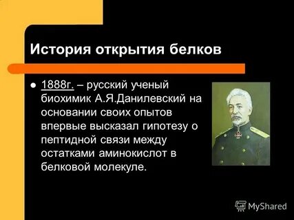 Белков п л