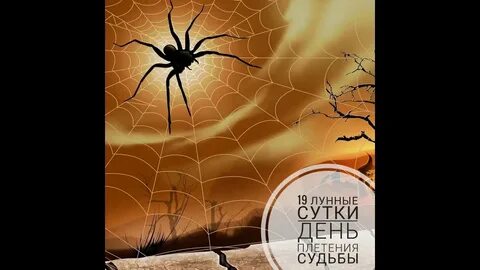 19 октября лунный день