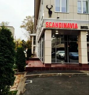 Скандинавия череповец