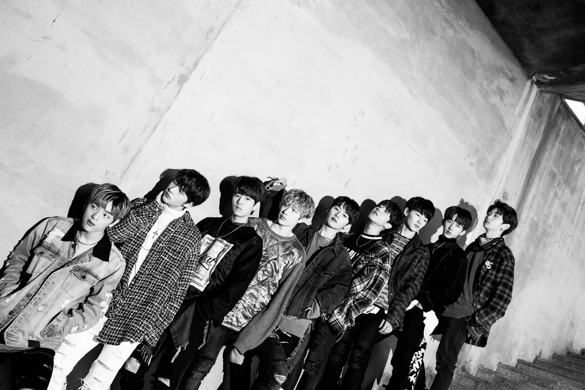 Группа stray kids участники 2022. Стрей кинс. Stray kids 4419. Stray kids камбэк. Ванг хан джин из stray kids.