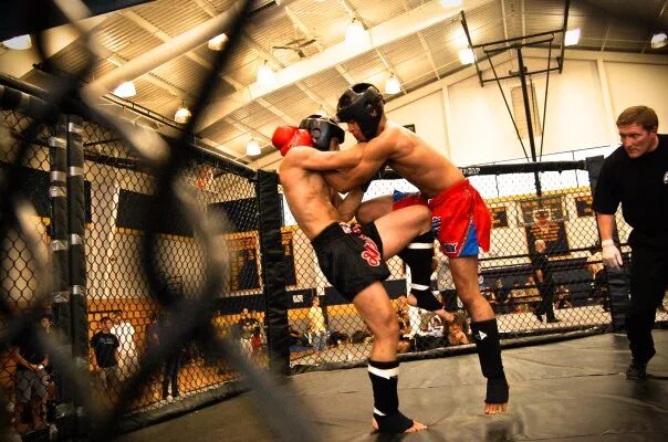 Pin on MMA CANVAS IDEAS