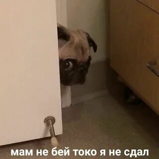 Что поздно домой пойдешь