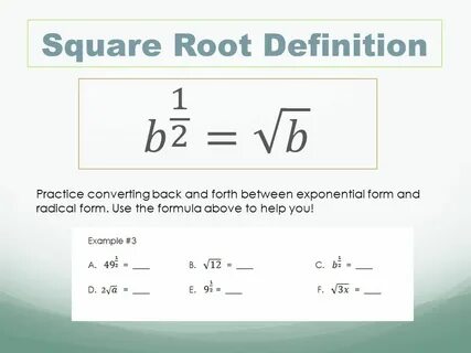 Define root