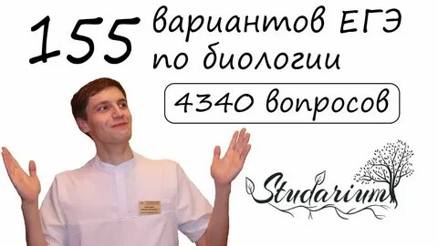 Студариум химия