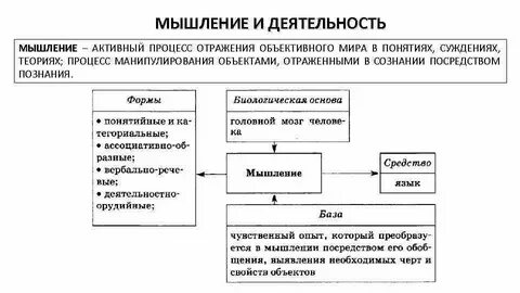 Формы мышления егэ обществознание