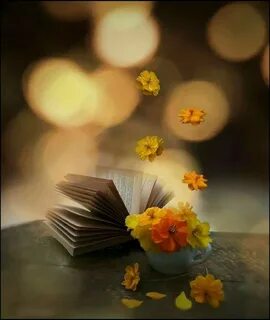 Золотой цветок книга