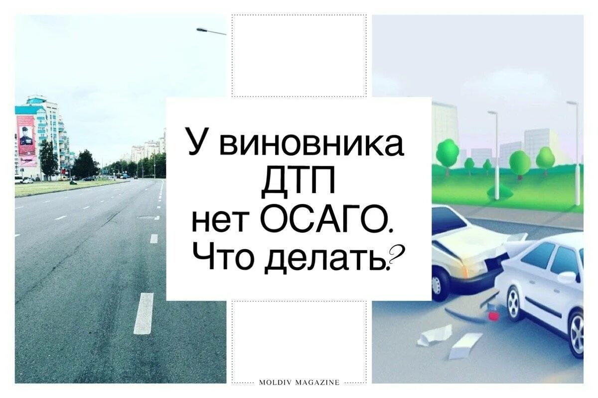 Если у виновника дтп нет страховки. У виновника нет ОСАГО. Если у виновника ДТП нет ОСАГО. ДТП без полиса ОСАГО. Если у виновника ДТП нет полиса ОСАГО.