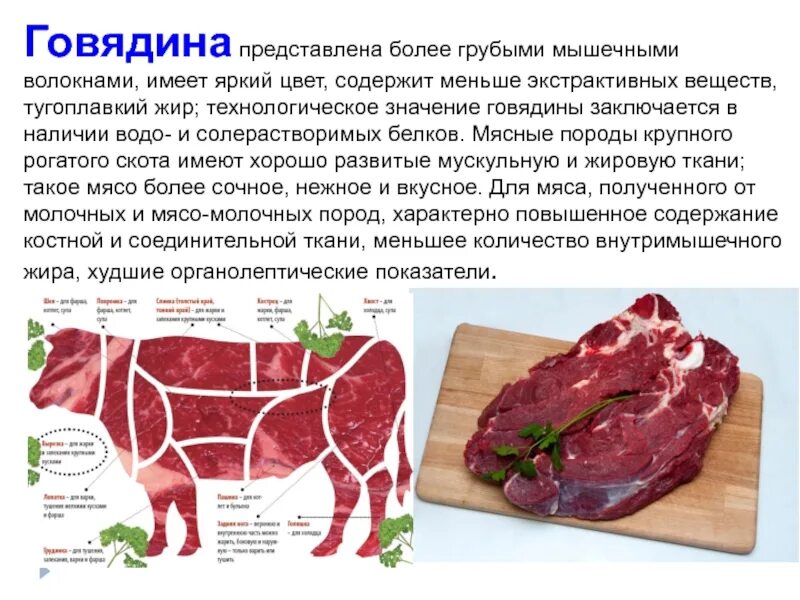 С какого возраста можно говядину