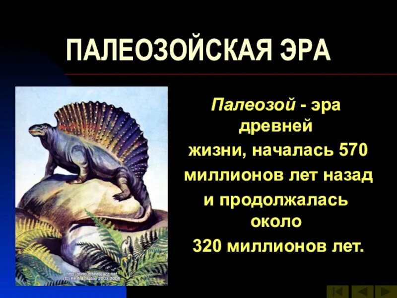 Палеозой какая эра. Палеозойская Эра началась 570 млн лет назад. Палеозой Эра. Поздний палеозой. Развитие жизни в позднем палеозое.