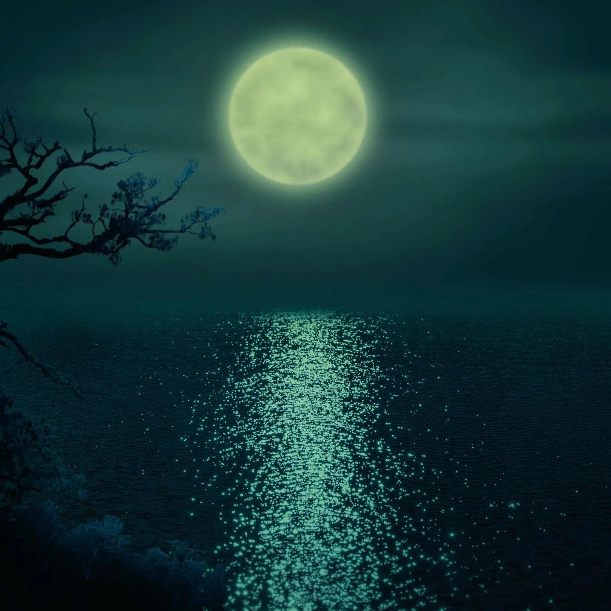 Какой лунной ночью. Лунная ночь. Лунный свет. Ночь в море. Ночное море.