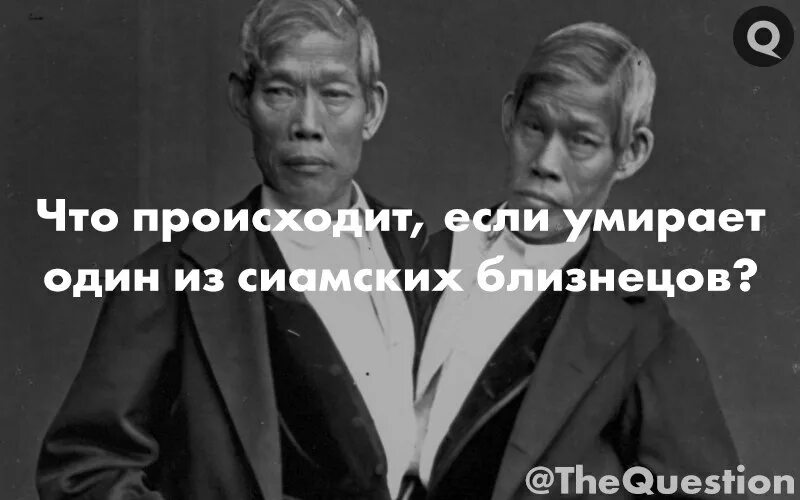 Мужчина женился на сиамских. Чанг и энг Банкеры. Первые сиамские Близнецы Чанг и энг. Чанг и энг Банкеры фото. Близнецы Чанг и энг.