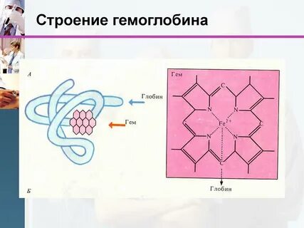 Гем гемоглобина
