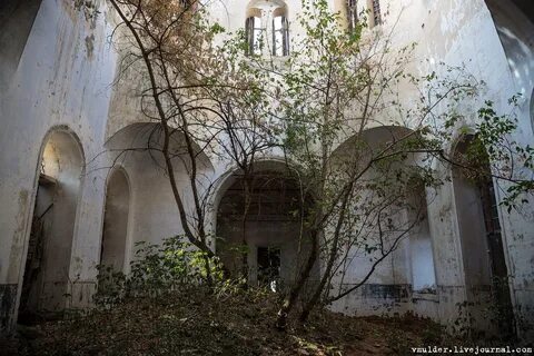 Село криница воронежская область
