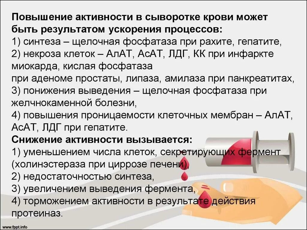 Фосфатаза повышена в крови у женщин. Повышена активность щелочной фосфатазы в крови. Повышение активности щелочной фосфатазы в крови. Повышение щелочной фосфатазы в крови причины. Повышенная активность щелочной фосфатазы в сыворотке крови при.