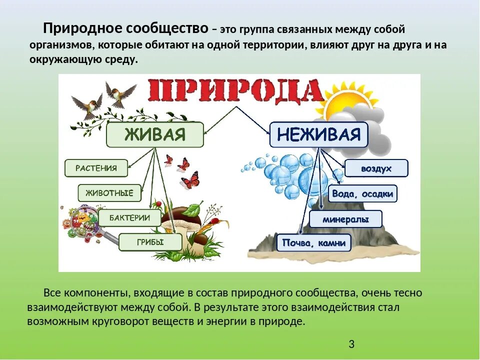 1 состоят из природных