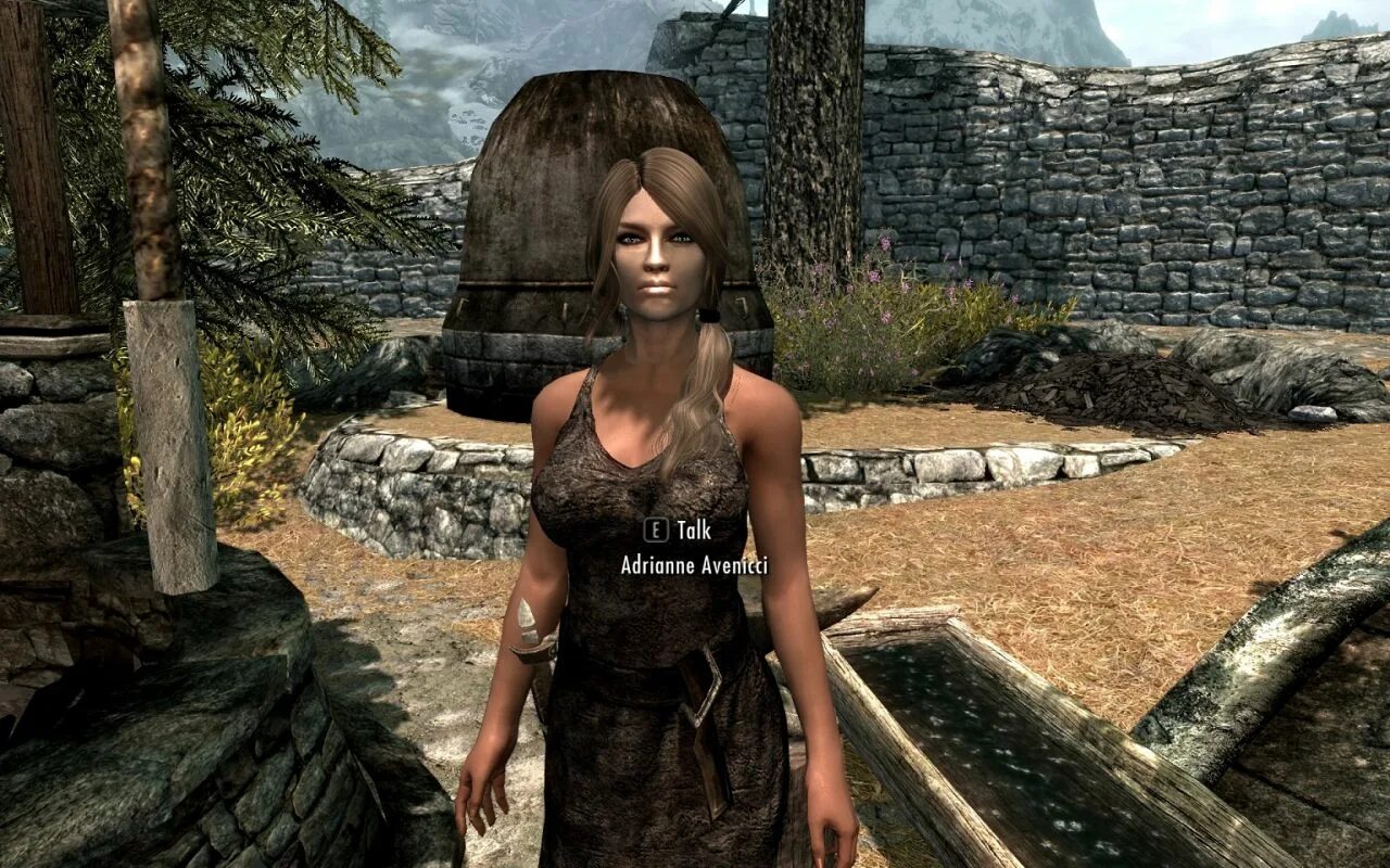 Брина мерилис скайрим. Skyrim npc. Скайрим мод реплейсер нпс. Рейнис скайрим нпс. Скайрим реплейсер npc.