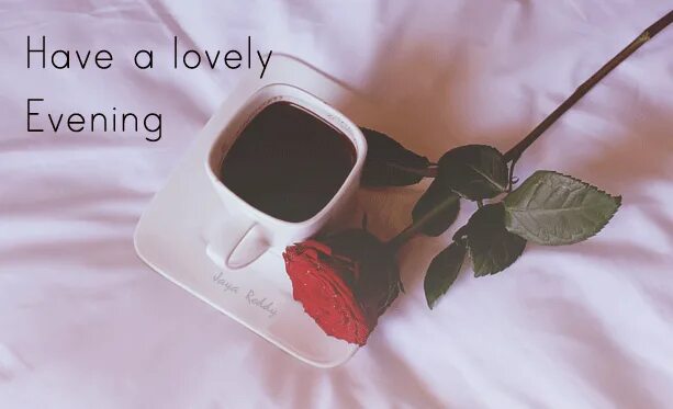 Good evening my. Good evening my love. розы good evening. lovely evening. good evening цветы.