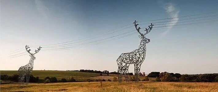 Опорно двигательная система млекопитающих. Опора животных. Опора декоративная мадагаскар. Чучело ягуара. Опора животных.