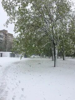 19 апреля 2004 года