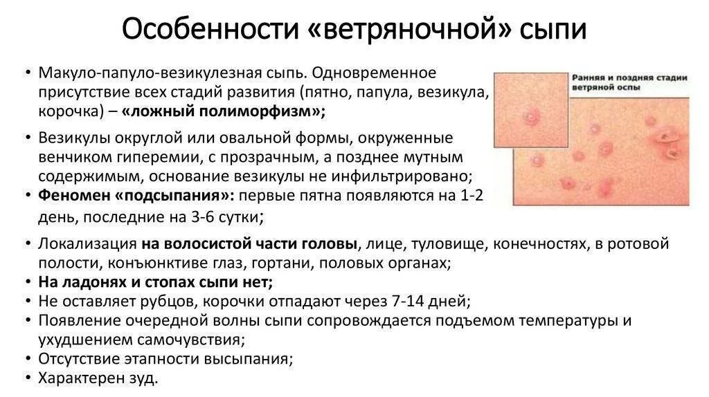 герпесная инфекция у детей симптомы. генерализованная форма герпетической инфекции. вирус герпеса 6 типа симптомы. инфекционный мононуклеоз этиология. герпетическая вирусная инфекция сыпь.
