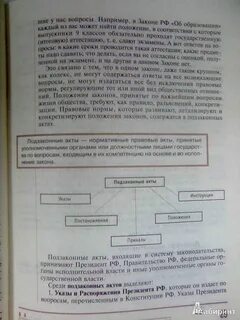Программа основы правовых знаний