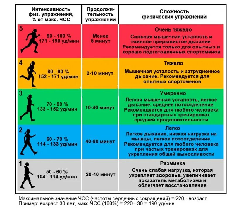 Сколько времени длится тренировка. Максимальный пульс при физических нагрузках таблица. Частота пульса при физической нагрузке. Частота пульса после физической нагрузки. Норма пульса при физических нагрузках.