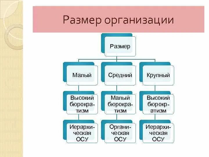 Организационный размер. Масштаб деятельности предприятия это. Показатели размера организации. Организационный размер. Размер организации.