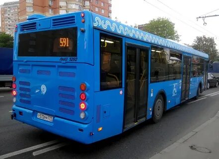 Синий автобус