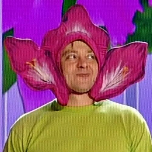 Гладиолус прикол. Уральские пельмени гладиолус. Уральские пельмени цветы. Потому что гладиолус уральские пельмени. Уральские пельмени.