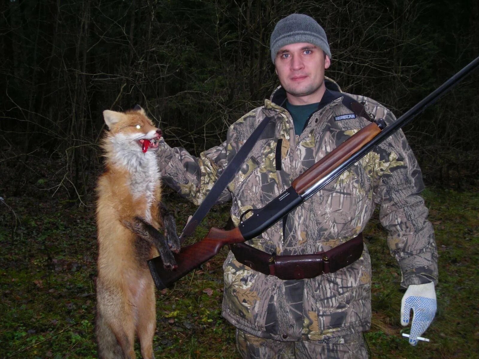 Охота на лис. Шатурский район охота на лисицу.
