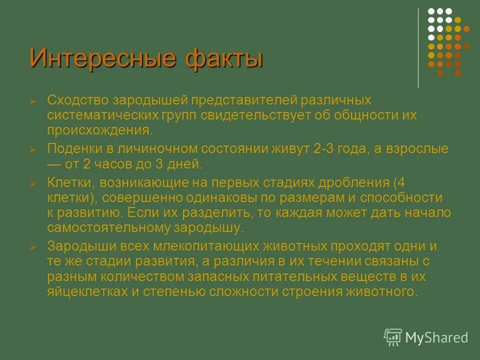 О чем свидетельствует сходство и различие. О чем свидетельствует сходство зародышей. Сходство зародышей представителей разных групп позвоночных. О чем свидетельствует сходство зародышей и их различия. О чëм свидетельствуют сходства зародышей.