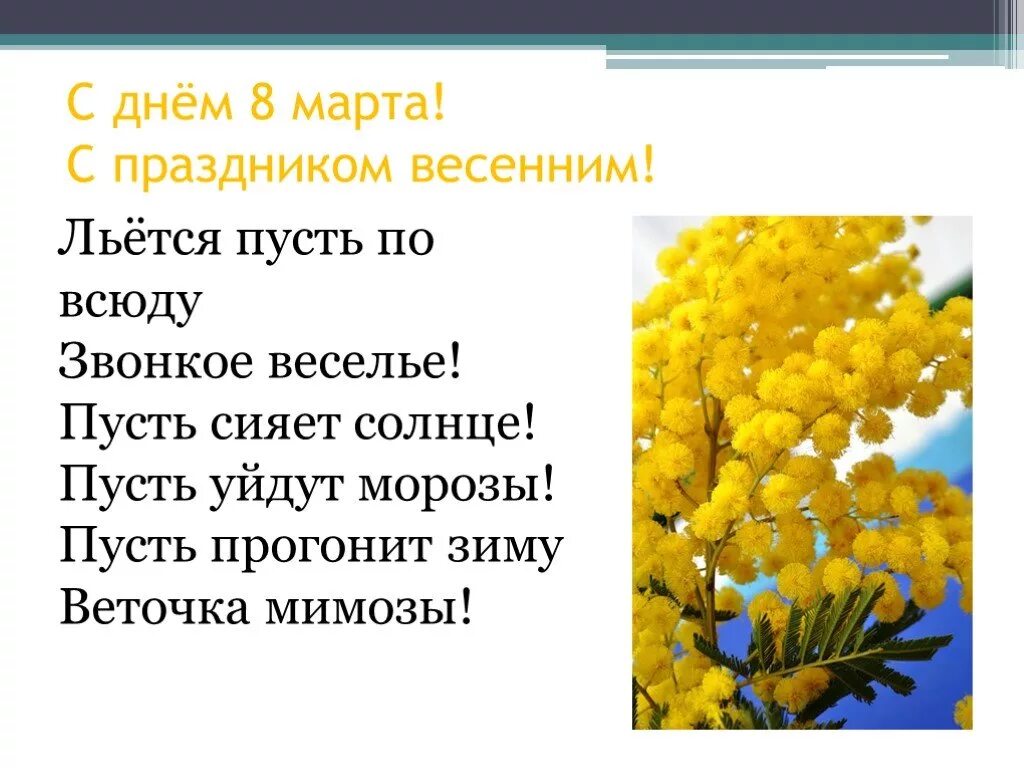 Стих про мимозу. Пусть прогонит зиму веточка мимозы. С праздником весны Мимоза. Мимоза презентация для детей.