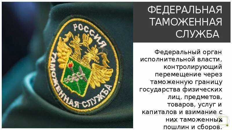 Федеральная таможенная служба орган исполнительной власти. Федеральная таможенная служба осуществляет. Место фтс россии в системе органов исполнительной власти. Функции федеральной таможенной службы рф. Федеральная таможенная служба орган исполнительной власти.