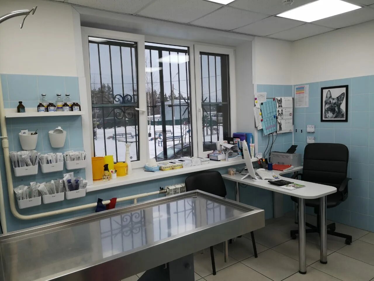 зоокантри ветеринарная клиника павловская слобода. ветеринарная клиника новопетровское. кантривет. кантривет. ветклиника внииссок.