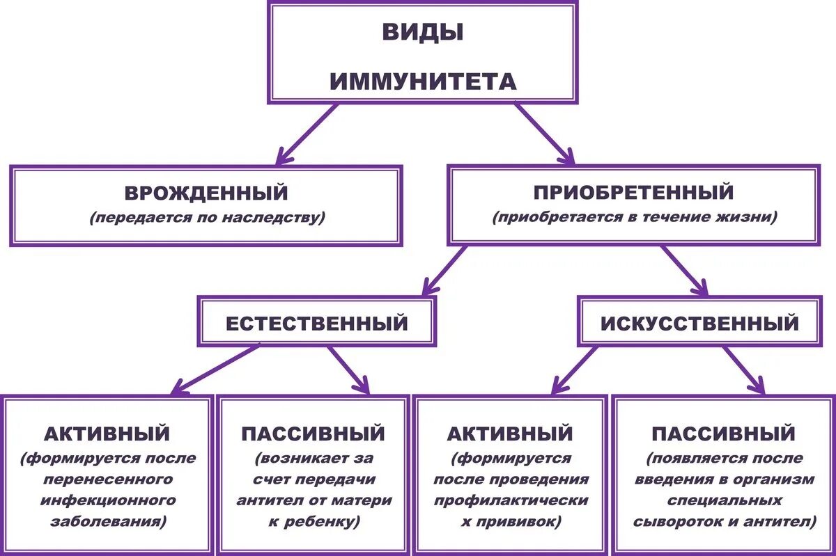 Стереотипный вариант развития патологии подразумевает