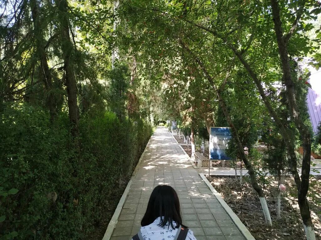 погода мираки