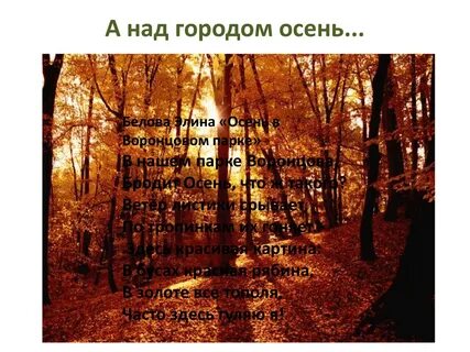 Книга город осень