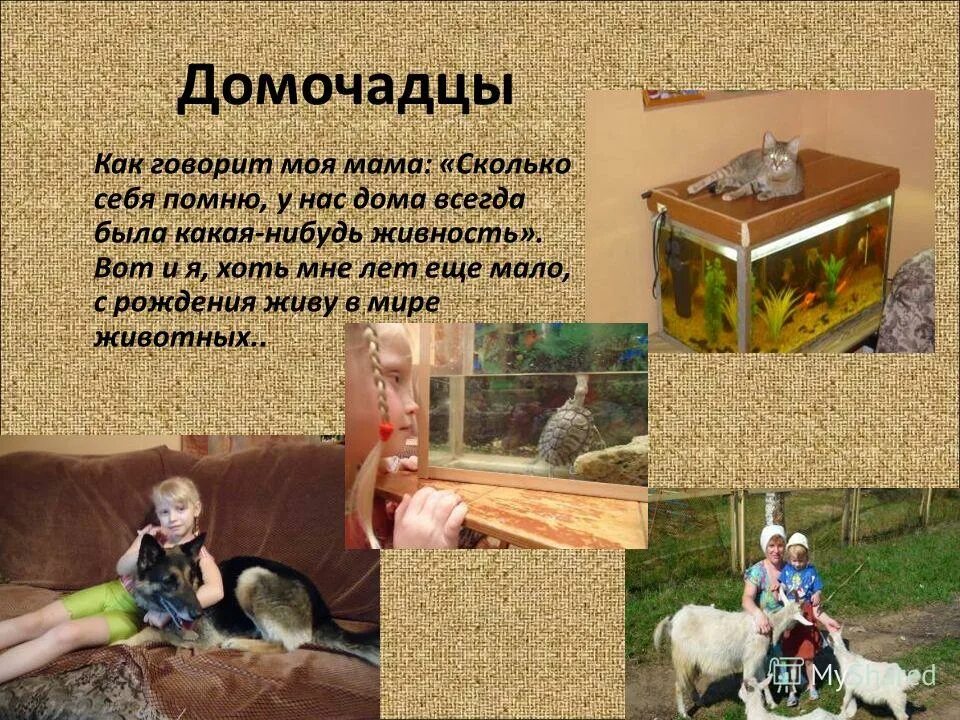 казанская сирота манипуляция. домочадцы это кто. домочадцы это кто. свадьба в древней руси. домочадцы это кто.