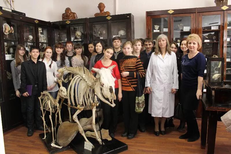 Куйбышевский мед институт 1975 год. Омгму анатомии. Анатомический музей симферополь. Омгму анатомии. Омгму анатомии.